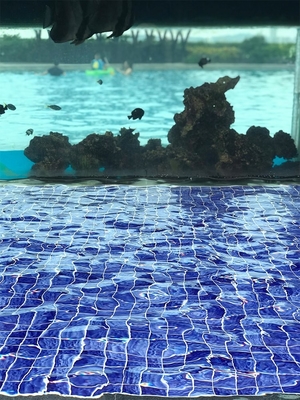 Blue And Green Color Ceramic Mosaic 48X48CM For Swimming Pool