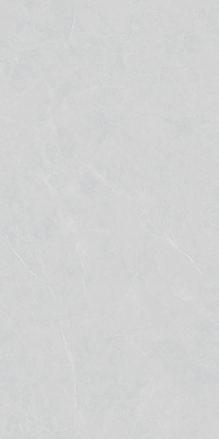 High Glossy Porcelain Floor Tiles Glazed 600x1200mm For House