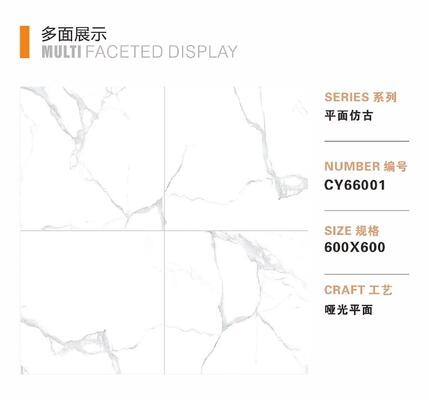 Home Decorative Non-Slip Rustic Porcelain Floor Tile in size 600x600mm