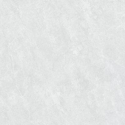 600 X 600 Wohelsale Outdoor Rustic Matte Solid Gray Ceramic Porcelain Terrazzo Floor Tiles