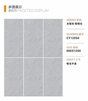 Matte tile for Malaysia and Vietnam market